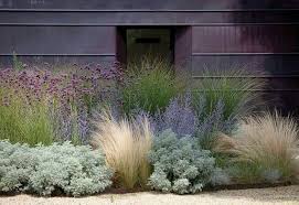 The Best Ornamental Grasses Landscape For Beautiful Garden Ornamental Grass Landscape Xeriscape Front Yard Front Garden Landscape