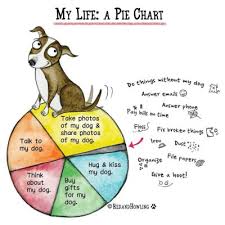 My Life In A Pie Chart Poodle Forum