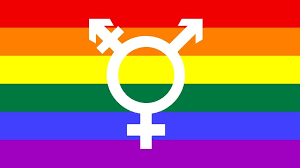 Es gibt also häufig viele potenzielle ansteckungsorte. Trans Begriffe Wie Mensch Uber Transgender Spricht Leben Themen Puls