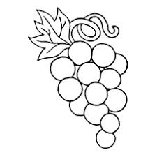 Grape vine coloring page at getcolorings com free printable colorings pages to print and color grapes best for kids drawing : Top 25 Free Printable Lovely Grapes Coloring Pages Online