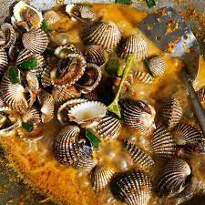 Resep Kerang Dara Berbagai Sumber Resep Kerang Kerang Resep