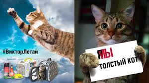 For real though, if you do not know what pelmeni are or why if you whistle in the house you will. 5 Best Russian Memes Of 2019 The Moscow Times
