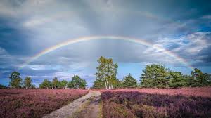 Tamara bilic is on facebook. Geo Leserfoto Die Besten Leserfotos Juli 2020 Bild 3 Geo