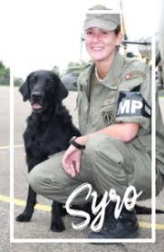 We would like to show you a description here but the site won't allow us. About Melanie Muller Online Hundetraining