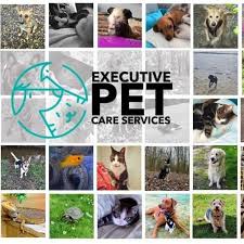 Our doctors have a special interest in soft tissue surgery, and dr. Executive Pet Care Services Dog Walking Yell