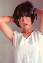 榊原郁恵 池上季実子 宮崎美子 乳首ヌードを出したエロ熟女の昔の全盛期画像 にゅーえろす 宮崎 芸能人 アイドル
