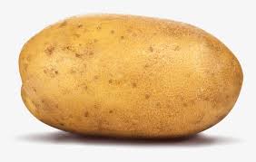Potato Png Image Potatoes Png Image Transparent Png Free Download On Seekpng French fries potato wedges chicken nugget patatas bravas pakora, potato, food, recipe, vegetables png. potato png image potatoes png image