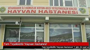 tam tesekkullu hayvan hastanesi dailymotion video
