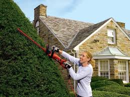 Black And Decker Hedge Trimmer 24 Inch Black Decker 24 In Hedge Hog Hedge Trimmer Review Omni Reviews Hedge Trimmers Hedges Lawn And Garden