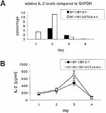 View the profiles of professionals named oosterwegel on linkedin. Ctla 4 Regulates Cell Cycle Progression During A Primary Immune Response Greenwald 2002 European Journal Of Immunology Wiley Online Library