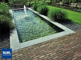 Pin Von Lydia Schmidt Auf Pool Wasserbecken Garten Teich Und Garten