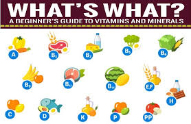 vitamin mineral chart for dummies sz news