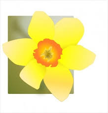 I «narcissus jonquilla, gatunek narcyza, roślina ozdobna o żółtych kwiatach, pochodząca z obszaru śródziemnomorskiego» ‹fr.› … Free Zonkil Vector Graphic