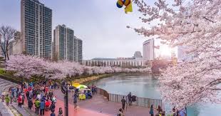 Olympic park adalah taman yang dibangun untuk menyambut olimpiade musim panas 1988 di korea selatan. Lokasi Terbaik Untuk Melihat Bunga Sakura Di Korea Selatan 2019 Klook Blog