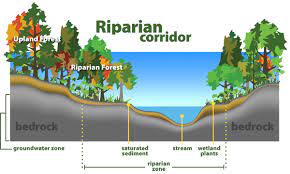 We did not find results for: Riparian