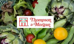 Get 20% off with active morgan black friday promo codes & discount codes at hotdeals. 20 Off Promo Code At Thompson Morgan Edealo