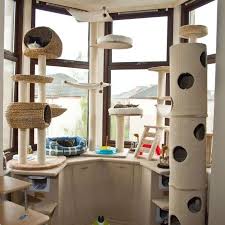 Here are some of the benefits of cat trees for large cats and house this unique territory can be the difference in a feline battleground or a happy home. 10 Amazing Cat Trees You Have To See