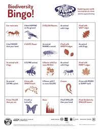 Biodiversity Bingo Plum Landing Pbs Kids Classroom Activities Science Activities Teaching Science