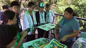 Increasingly undertaken, they are increasingly aware that the job does not promise a better future. Malaysia Urban Rainforest Survey California Academy Of Sciences