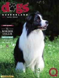 Six akc puppies for sale, all great ridges, parents on site! Dogs Queensland The Queensland Dog World Issue 4 April 2016 By Dogs Queensland Issuu