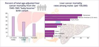 Breast cancer, colon cancer, heart disorders cause a lot of victims all around the world, but liver cancer is also life endangering, even if many people don't know too much about it. Liver Cancer A Leading Cause Of Cancer Death In The United States And The Role Of The 1945 1965 Birth Cohort By Ethnicity Jhep Reports