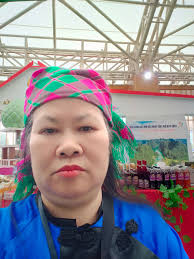 Tui đã có mặt tại lễ hội mùa thu Đông Anh Hà Nội .