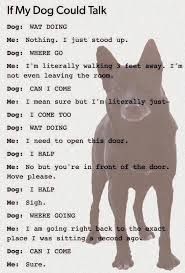 If Dogs Could Talk If Dogs Could Talk Wat Do Dog Quotes