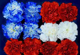 Hours may change under current circumstances Hy Vee Floral Shops Various Locations Omaha Ne 68124