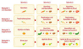 Fingerfood kann oft eine sinnvolle ergänzung zum babybrei sein. Holle Demeter Babyglaschen Sechs Neue Sorten