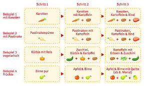 Fingerfood kann oft eine sinnvolle ergänzung zum babybrei sein. Holle Demeter Babyglaschen Sechs Neue Sorten