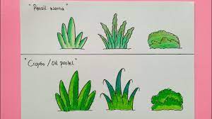 Dengan mengusung sistem ulir, crayon grasp tidak mudah patah dan menjaga tangan tetap bersih waktu mewarnai. Cara Menggambar Dan Mewarnai Tanaman Rumput Gradasi Pensil Warna Dan Crayon Oil Pastel Youtube