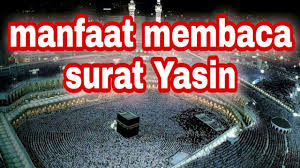 Bukankah kalau mau memelet seseorang pakai surat yusuf? Surah Yasin Merdu Full Dan Terjemahan Indonesia Muhammad Herlambang Youtube