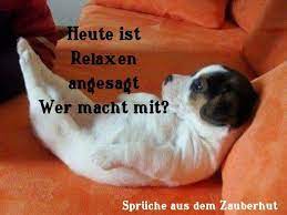 Pin On Mach Mal Pause