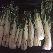 Grilled Bok Choy Recipe Allrecipes