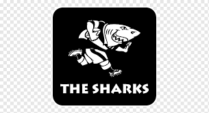 Virgin great white vs chad bull shark. 2018 Super Rugby Season Sharks Bulls 2017 Super Rugby Season South Africa National Rugby Union Team Rugby White Mammal Animals Png Pngwing
