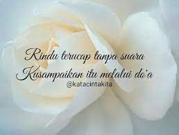 Kata kata bijak cinta kadang sering kita cari untuk mencari kata kata yang sesuai dengan perasaan kita. Kata Kata Cinta Sejati Romantis Sayang Sedih Manis Puitis Paling Indah