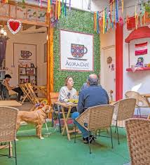 Time Out México Marzo 2023: Ellas al mando: mujeres que nos mueven en CDMX  by Time Out México - Issuu