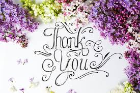 Have someone you need to thank for a special favour? 5 478 Thank You Flowers Photos Free Royalty Free Stock Photos From Dreamstime