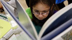 School Search: expanding as Florida's choices grow