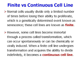 Table 1 shows examples of virus tests to be performed once only at various cell levels, Animal Cell Tissue And Organ Culture What