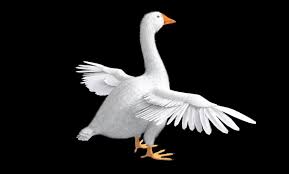 Goose Bird Fur 3d Model In 2020 3d Model Bird Low Poly 3d Models