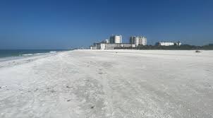 Dead fish litter beaches in Sarasota County as red tide persists | WFLA