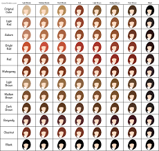 Henna Hair Dye Color Chart Cares For Hairs Hair Dye Color Chart Hair Chart Hair Dye Colors