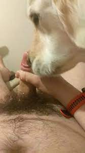 My dog licking my dick