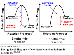 Endoexoreactions Quimica Termodinamica Escuela
