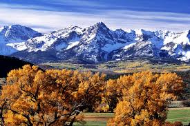Your denver colorado stock images are ready. 45 Wallpaper Stores In Denver Colorado On Wallpapersafari