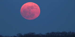 Lyrics © bmg rights management, reservoir media management inc. Pink Moon April 2017 See The Full Moon On April 10