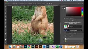 Check spelling or type a new query. How To Add Copyright Symbol In Photoshop Youtube