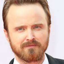 Breaking Bad star Aaron Paul invites bashed autistic teen to Disneyland