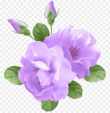 We did not find results for: Download Purple Roses Png Images Background Toppng